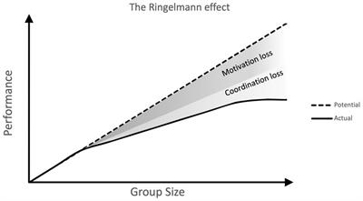 The primate workplace: Cooperative decision-making in human and non-human primates